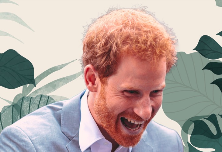 Prince Harry Gives Meghan Markle's Dad Hope?