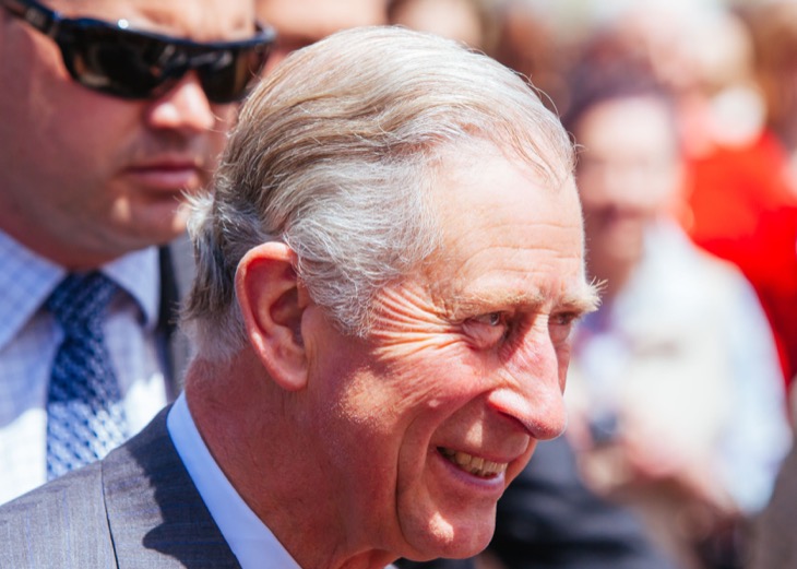 King Charles Encouraging Prince Harry To Return To The Royal Fold