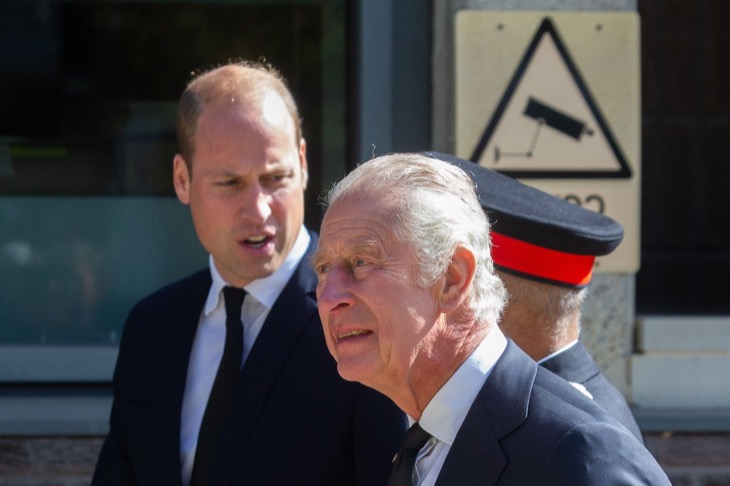 King Charles And Prince William Desperately Need ‘The Spare Prince’