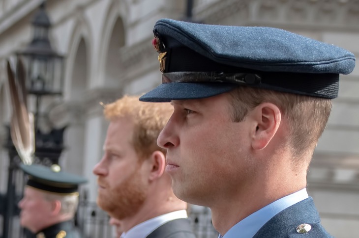 Prince Harry Desperate To Reconcile With Prince William