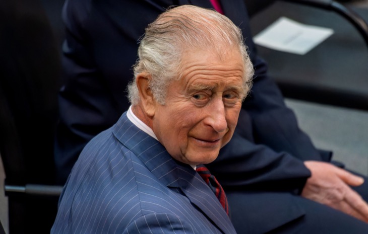 King Charles Must Choose Between Prince Harry And William