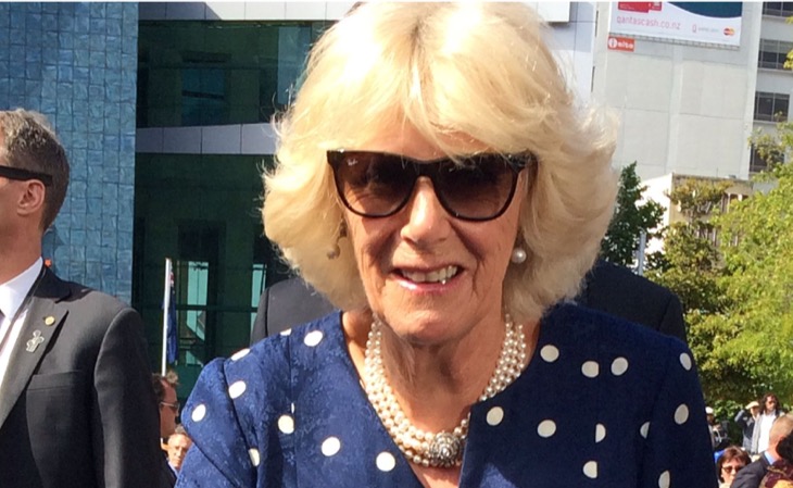 Queen Camilla Blamed As Reason King Charles Cut Prince Harry Meeting Short