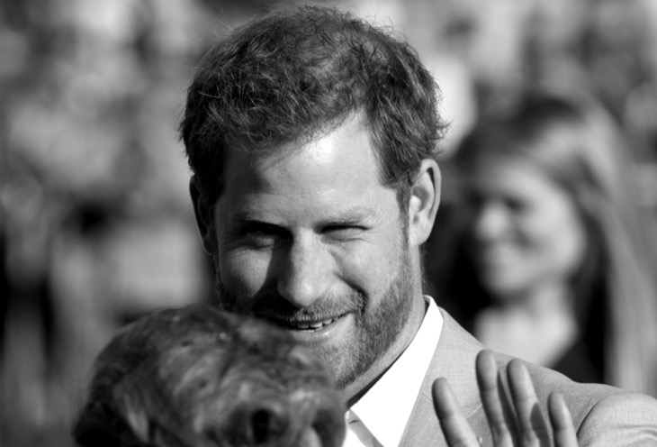 Prince Harry Might Leave America Before Donald Trump Deports Him
