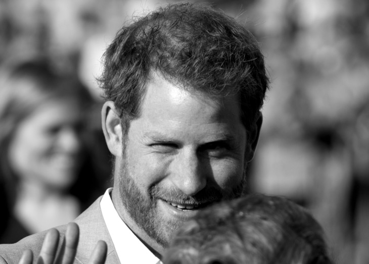 Prince Harry Jealous Of Prince William’s Relationship With Queen Camilla