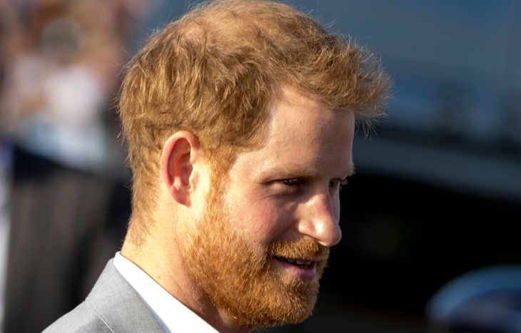 Prince Harry Terrified Of Donald Trump Winning The Presidency