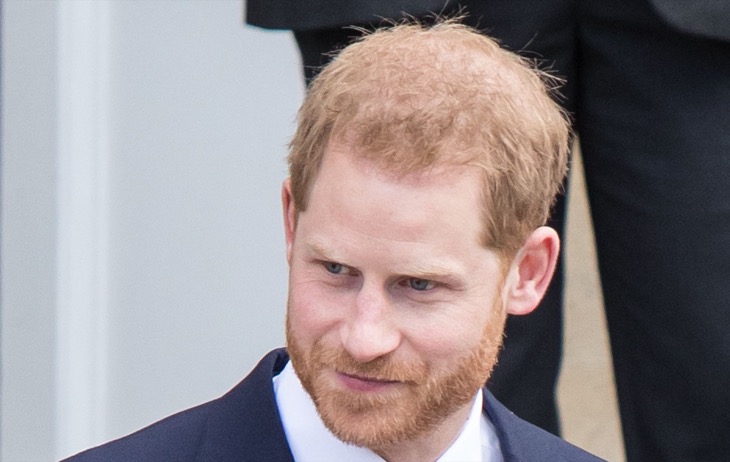 Prince Harry Intrigued With This Profession, Meghan Told Him to Take Acting Classes