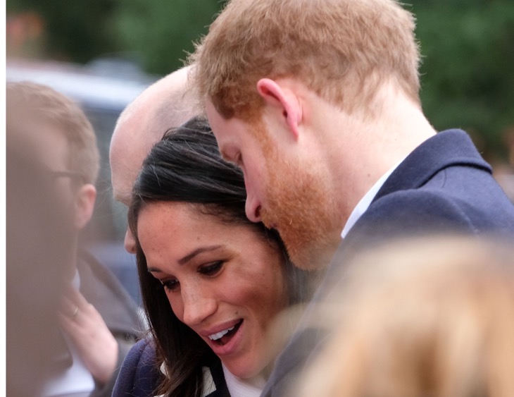 Prince Harry and Meghan Slammed For Being Lecturing and Smug