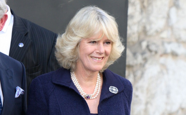 Queen Camilla's Cancer Jokes Ruffle Feathers