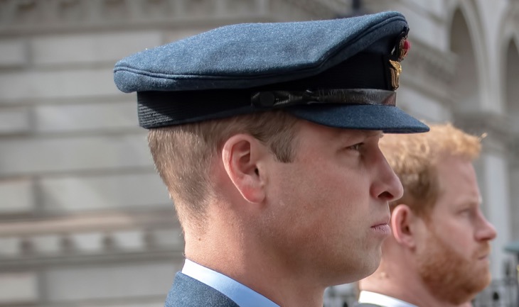Prince William And Prince Harry's Real Relationship About To Be Exposed In New TV Documentary