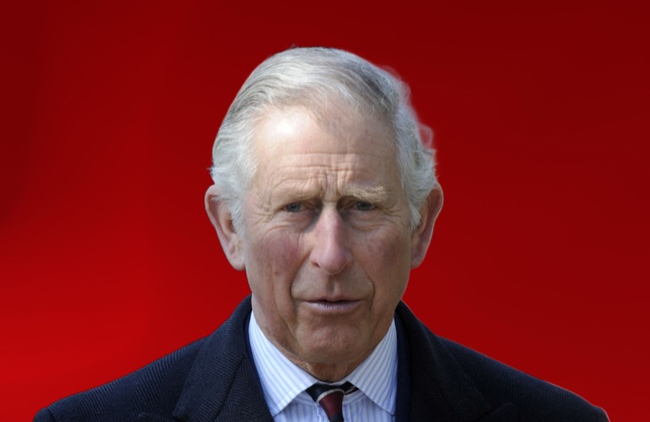King Charles Blunder Triggers Fresh Concern, WHO Is In Charge At The Palace?