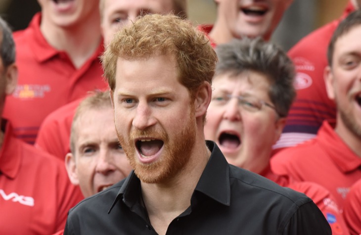 Prince Harry Against Prince William Bonding With Step-Monster Queen Camilla
