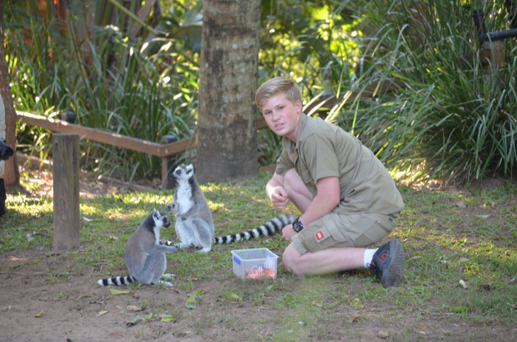Robert Irwin Comments On The Possibility Of Joining “The Bachelor”