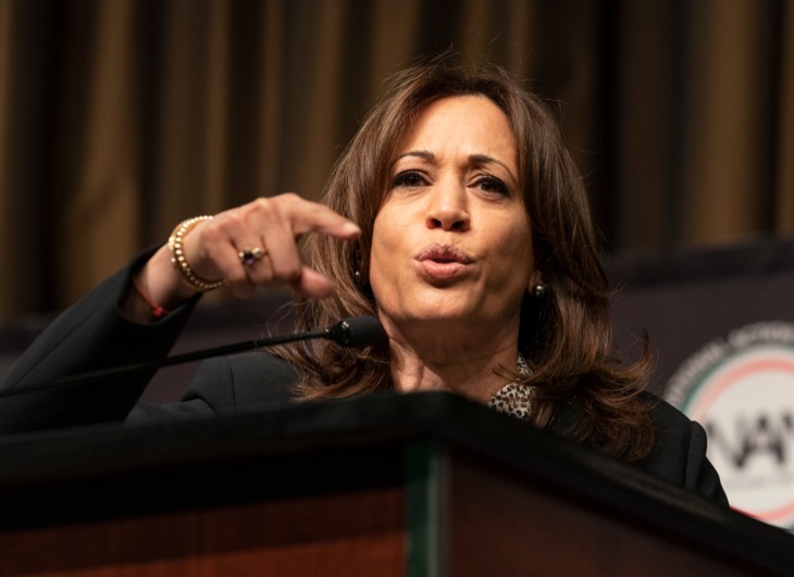 Kamala Harris Determined To Take On Donald Trump