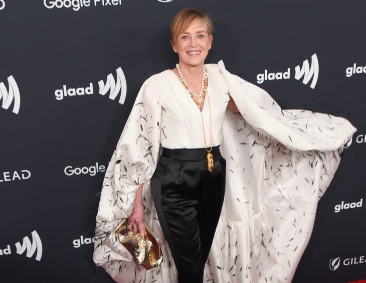 Sharon Stone Pitched This “Barbie” Idea That Got Her Thrown Out of A Studio