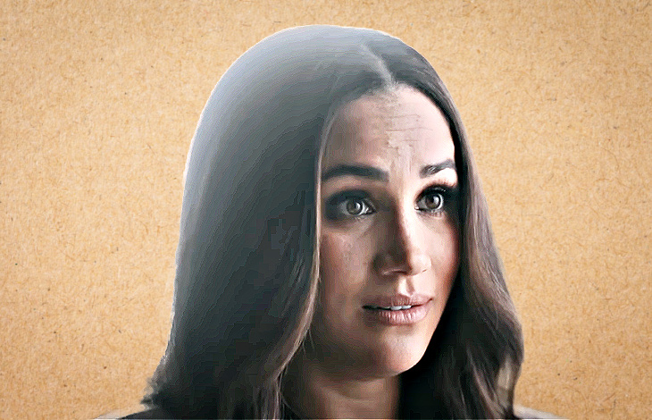 Meghan Markle’s Plans For Prince Harry ‘Obvious’ From The Start