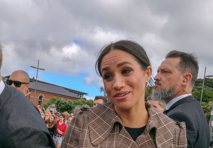 Meghan Markle Won’t Allow Prince Harry To Travel Alone With Their Kids