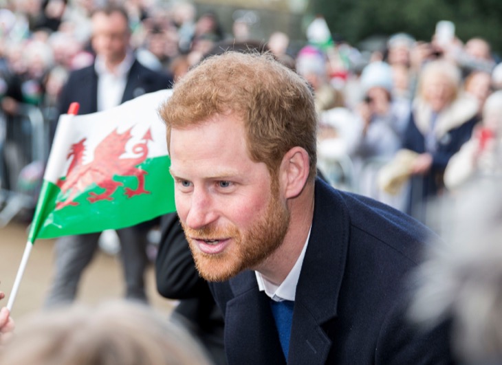 Prince Harry Could Be “Uncomfortable” Hawking Meghan Markle's Dog Collars