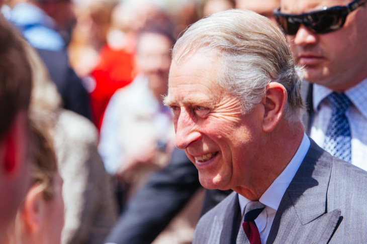 Here’s What King Charles Really Thinks About Prince Harry’s ‘Escape’