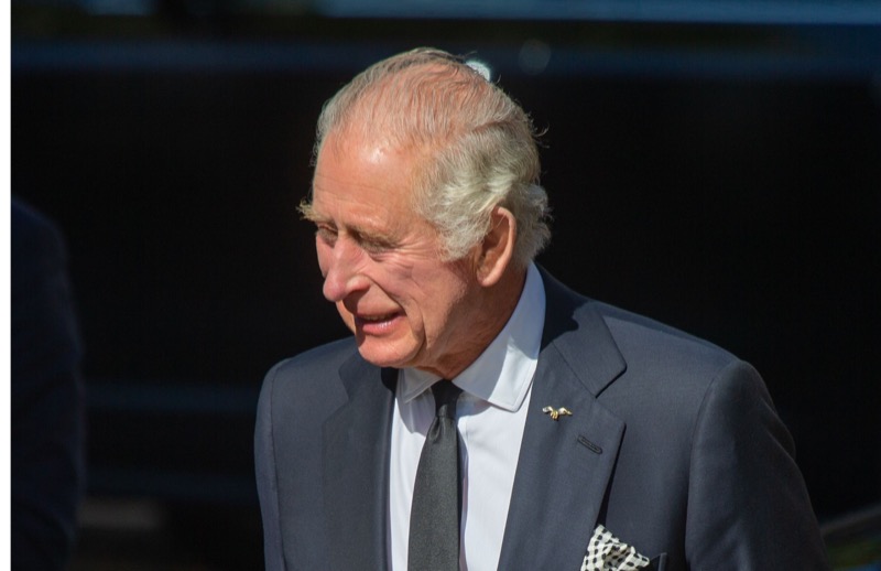 King Charles Wants The Wales And Sussex Reunion To Happen