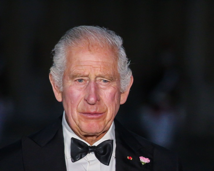 King Charles Regrets Adapting Princess Diana’s Parenting Style