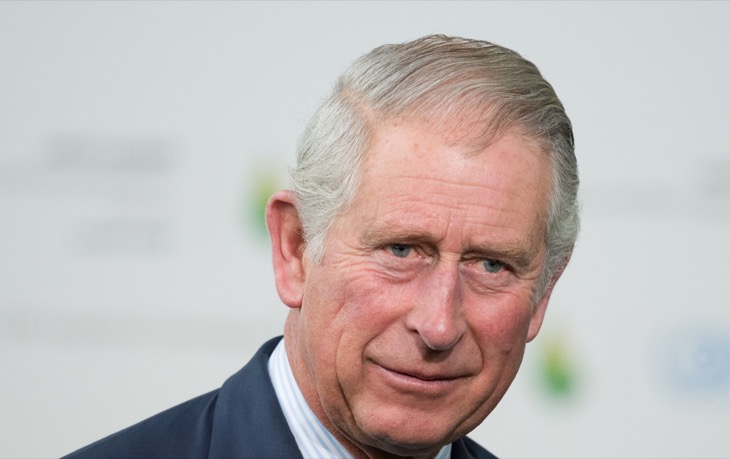 King Charles Urged To Make Prince Andrew ‘Disappear’ For This Reason