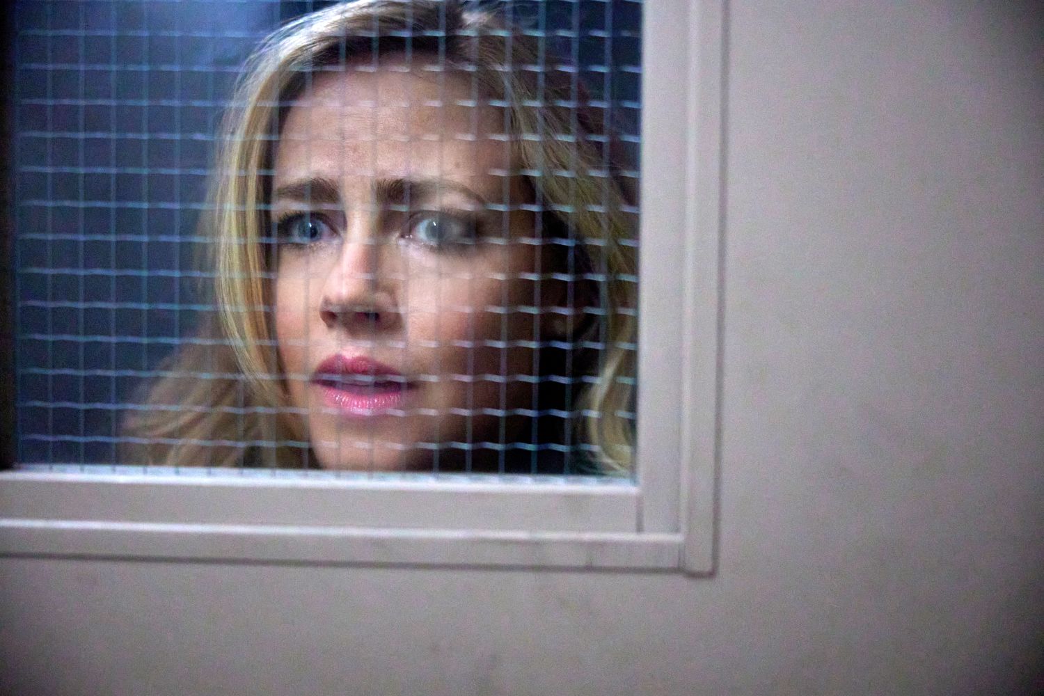 Family Practice Mysteries: Coming Home on Hallmark Mystery