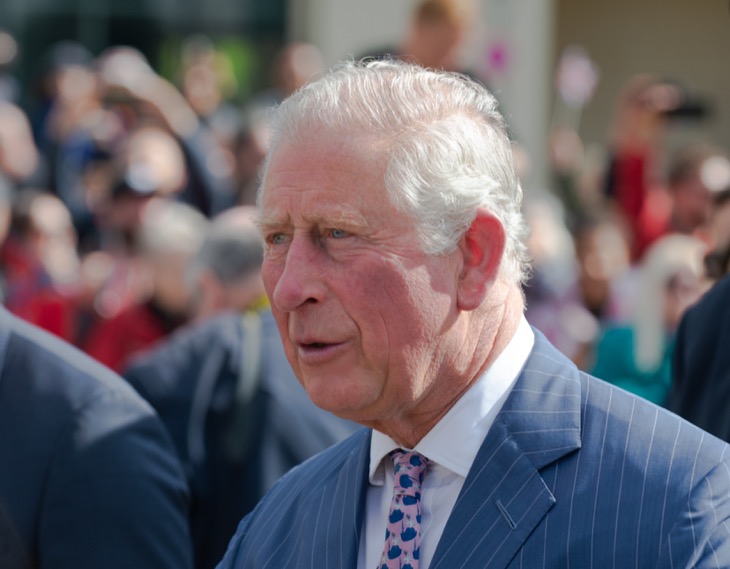King Charles Given A Warning About Meghan Markle