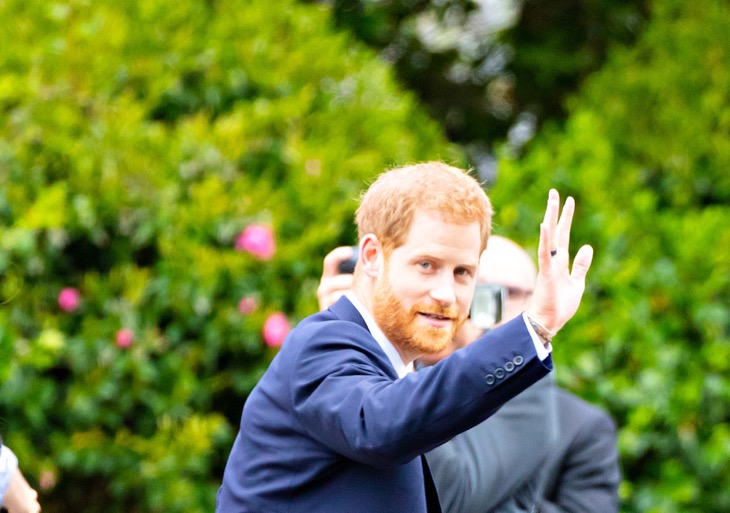 Prince Harry's Last Few Ties To Royal Family Reportedly Cut In Light Of Visit To Nigeria