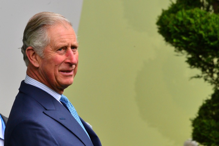 King Charles' Really, Really Red Portrait: All Of Its Secretive Meanings