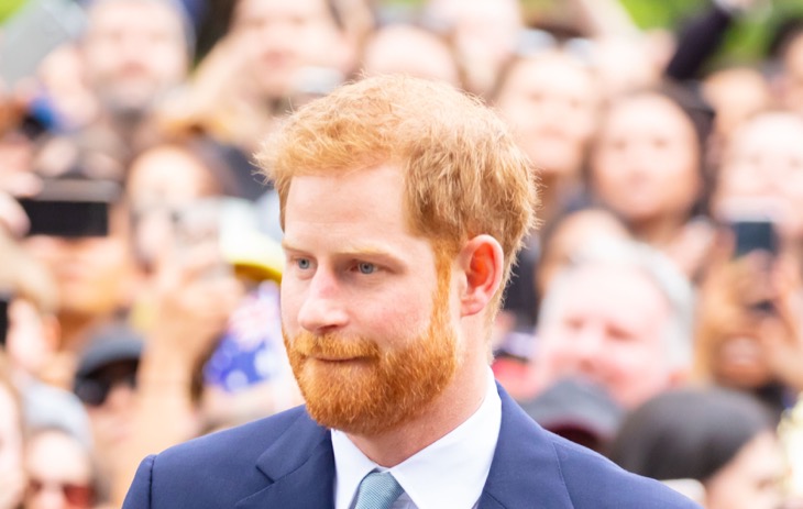 Prince Harry “Desperate” For Prince William’s Approval While Meghan Markle Plans Political Career