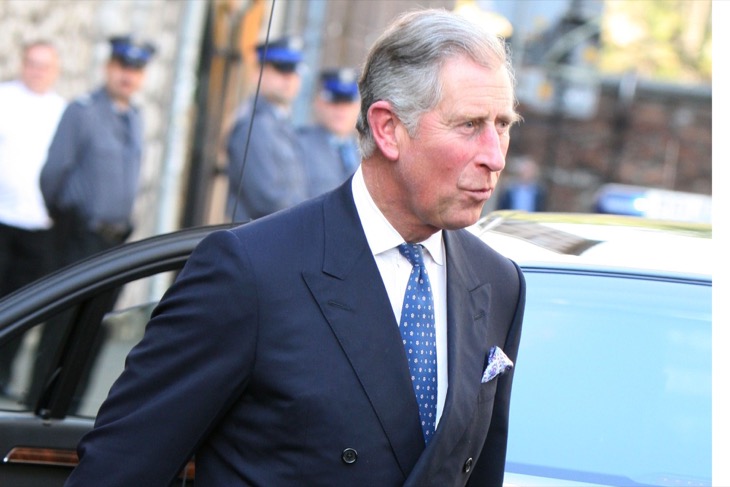 Prince Harry Hurt King Charles’ Feelings With This Statement