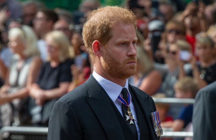 Prince Harry Receives Another Major Blow From The UK