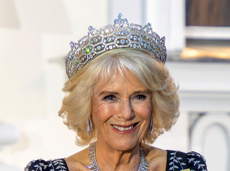 Queen Camilla Is Watching Prince Harry Like A Hawk