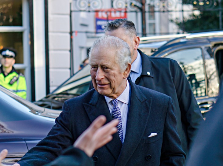 King Charles Wants Prince Harry To Back Off From Queen Camilla