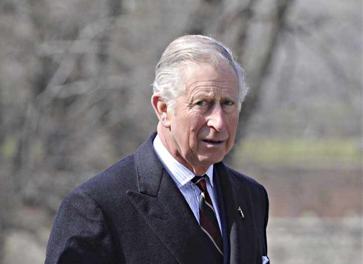 King Charles Needs Meghan Markle’s OK For Archie’s Birthday Present