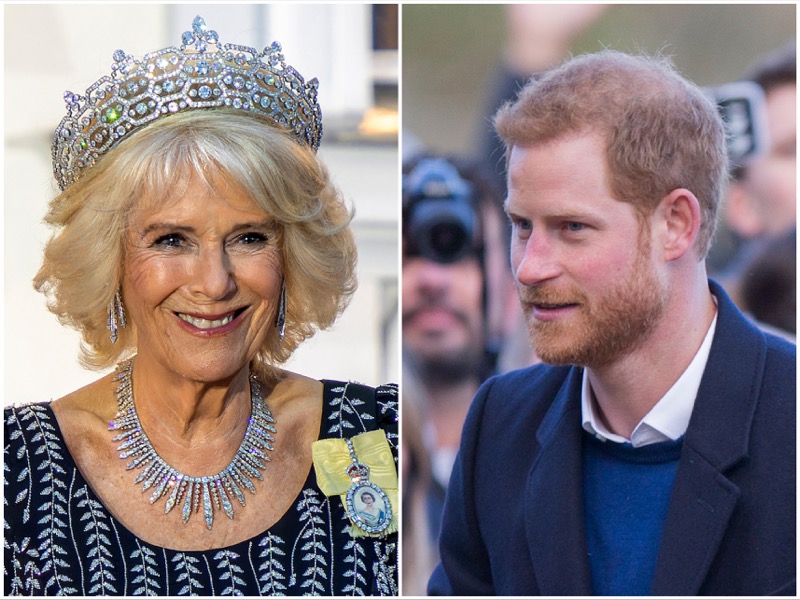 Prince Harry And Queen Camilla Feud Is Still A Huge Issue For The Royal Family