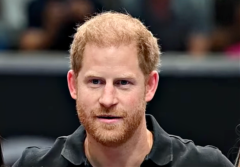 Prince Harry Has Nothing To Do Except Walk The Dog As He “Broods Over the Past”