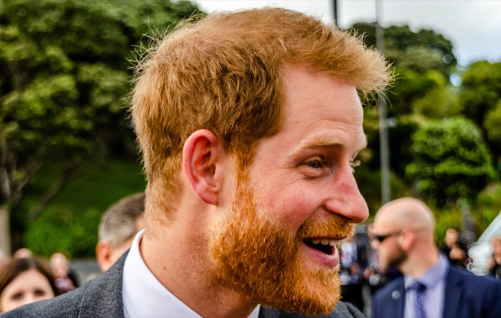 Prince Harry Can’t Return To The Royal Family Because Of Queen Camilla