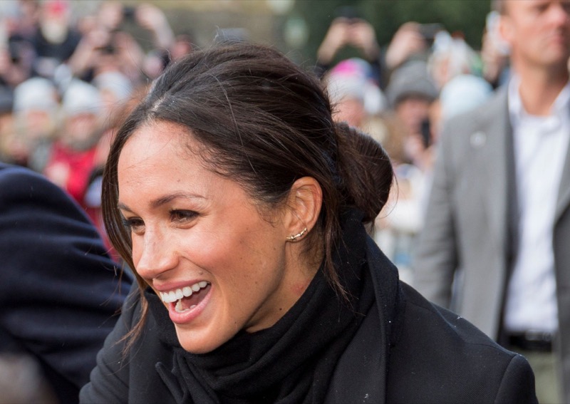 Meghan Markle Standing In The Way Of Prince Harry And Prince William Reconciliation?