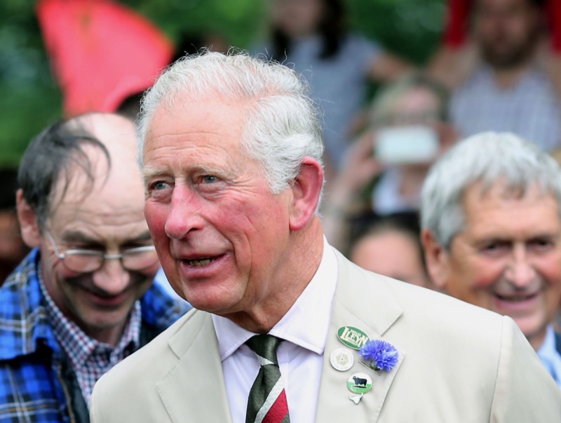 Is King Charles Really Jealous Of Prince Andrew?