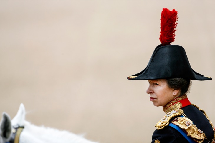 Princess Anne Has Been Hospitalized Following A Head Injury With A Horse