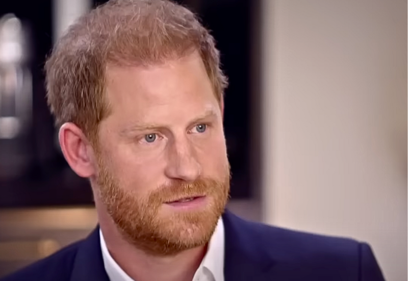 Prince Harry Claims That Queen Elizabeth Is Encouraging Him to Sue, Sue, Sue