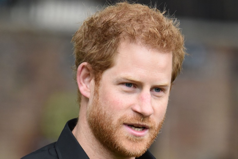 Prince Harry Has No Clout In America