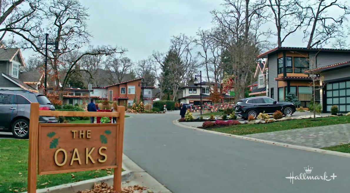 The Oaks in the limited series, Holidazed on Hallmark+