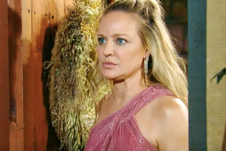 The Young And The Restless Spoilers: Sharon’s Dangerous Decision, Kidnaps Aria After Nanny Quits