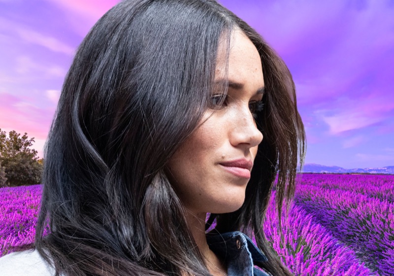 Video Evidence Shows Meghan Markle Bullying Princess Charlotte?