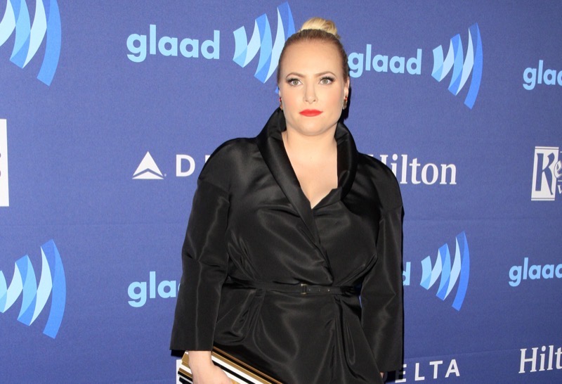 Meghan McCain Disgusted With New Video Featuring Kamala Harris