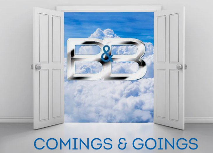 The Bold And The Beautiful Comings & Goings, Week Of Nov 11-15: A Mysterious Man Enters The Canvas, Family Comes Together