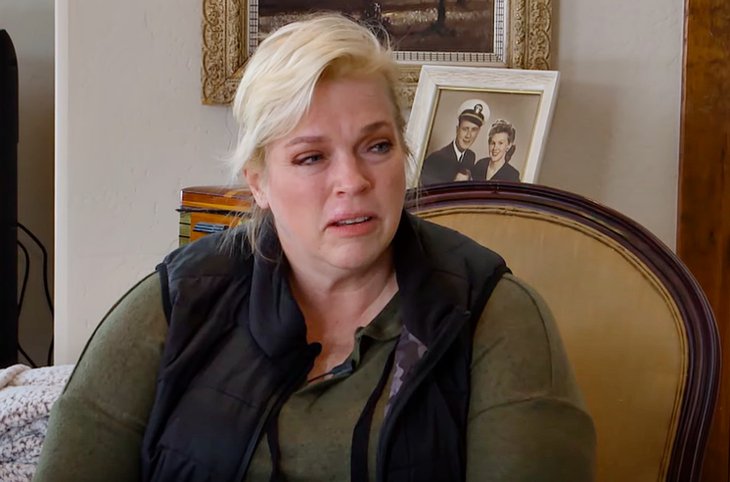 Sister Wives’ Janelle Reveals Moment She Realized It Was Time To Hire A Lawyer