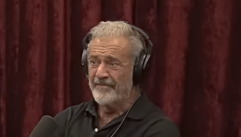Mel Gibson Talking To Joe Rogan During LA Fires - Joe Rogan Experience - YouTube
